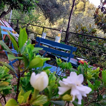 B&B I Glicini Vescina 외부 사진