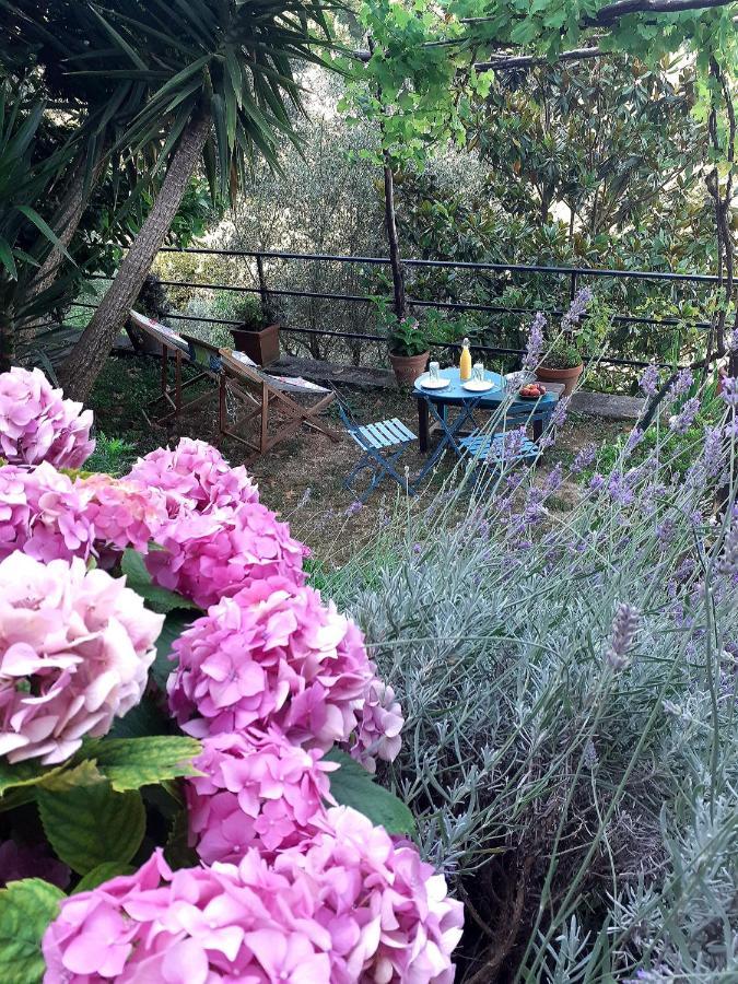 B&B I Glicini Vescina 외부 사진