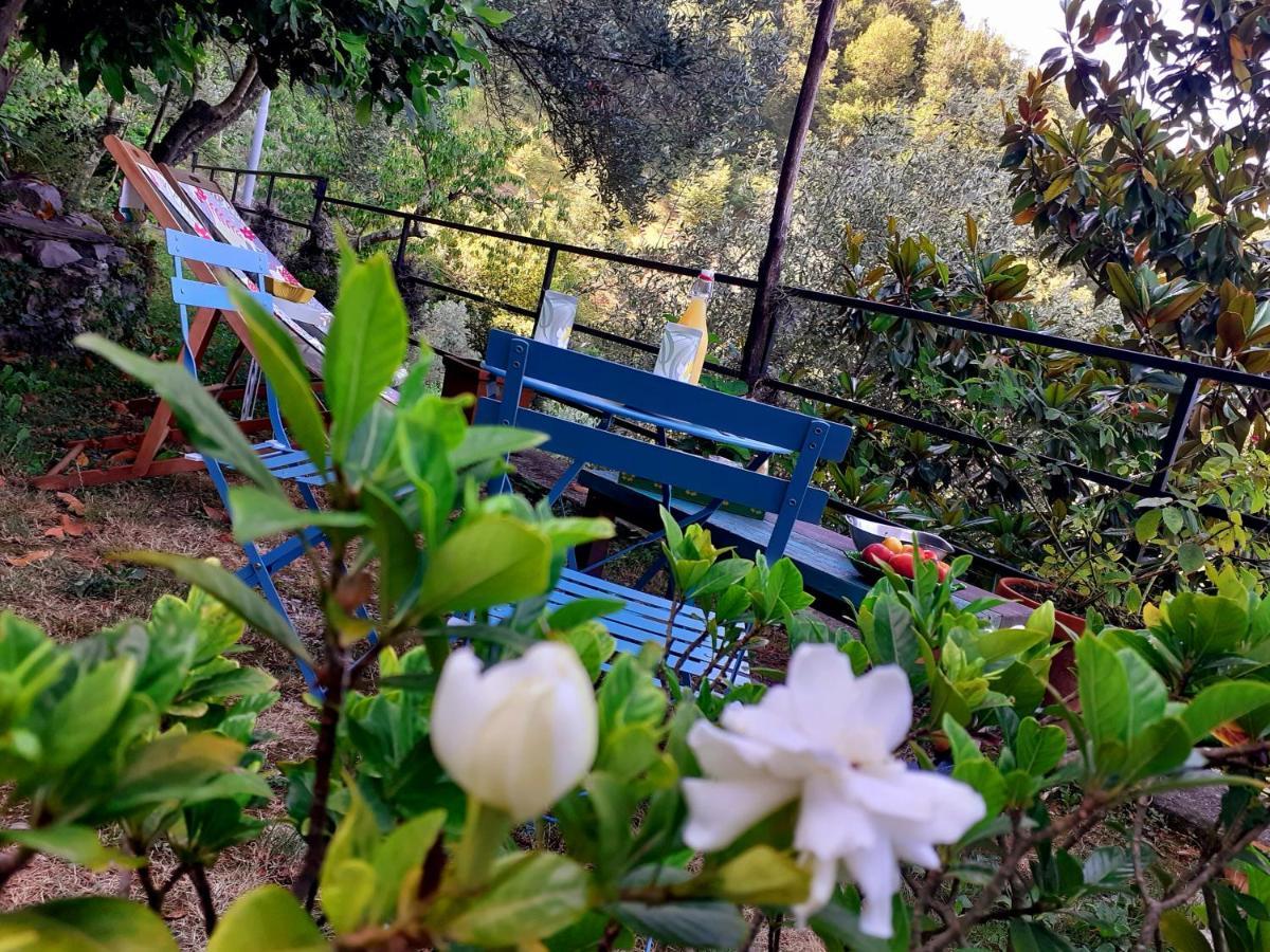 B&B I Glicini Vescina 외부 사진