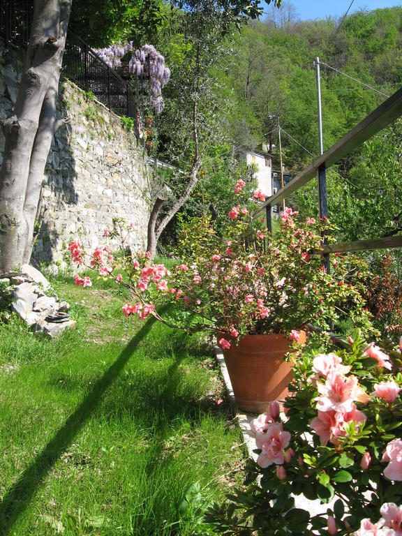 B&B I Glicini Vescina 외부 사진