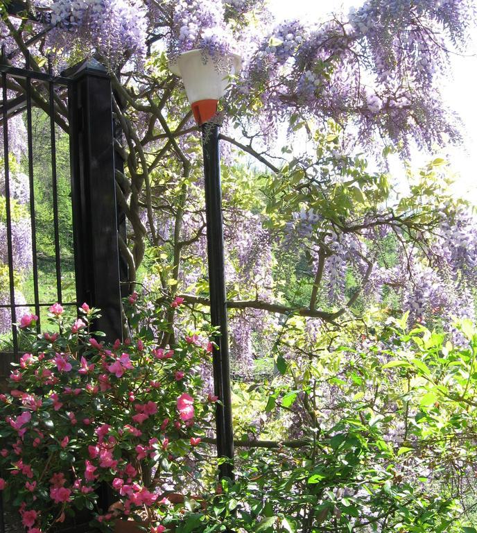 B&B I Glicini Vescina 외부 사진