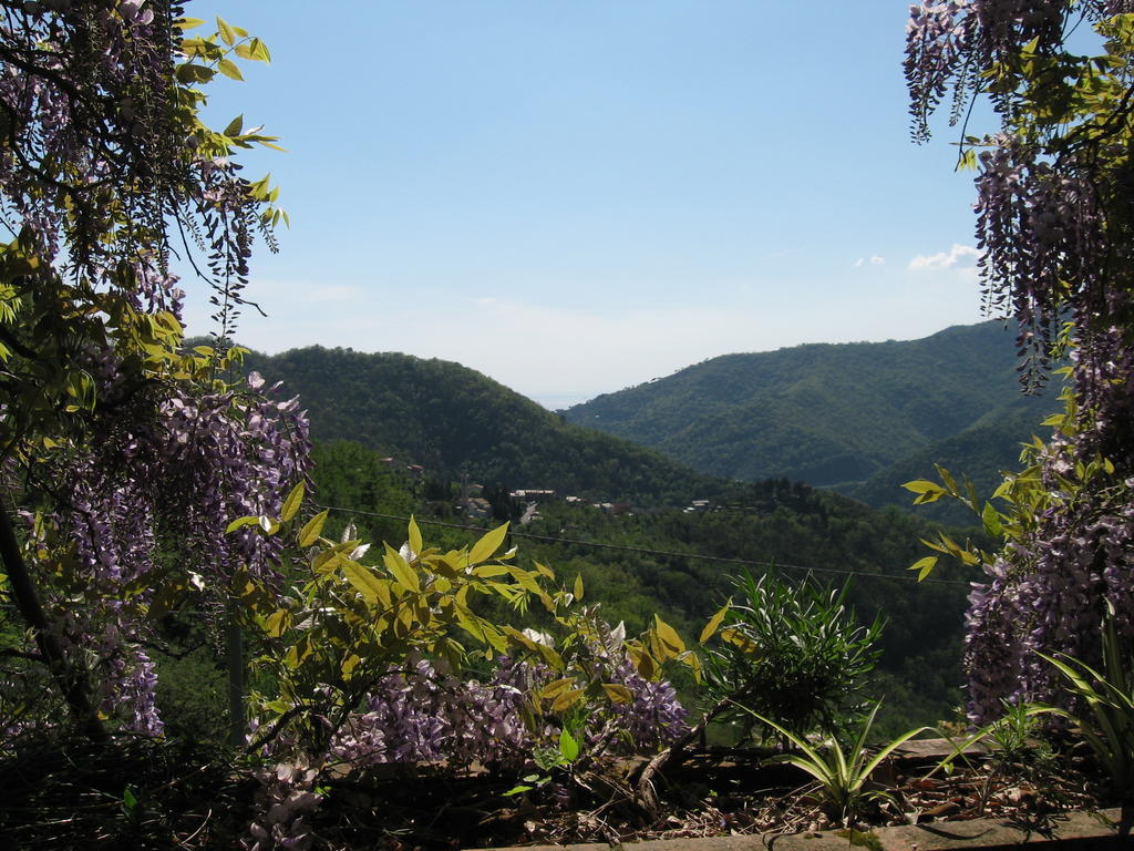 B&B I Glicini Vescina 외부 사진