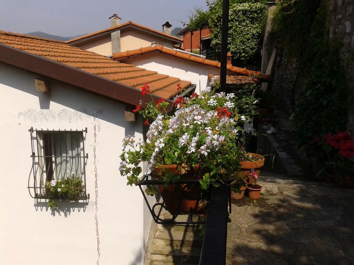 B&B I Glicini Vescina 외부 사진