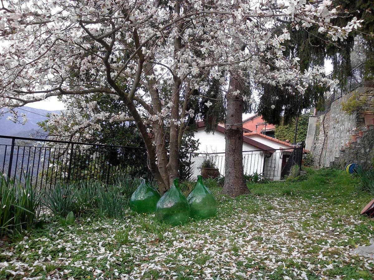 B&B I Glicini Vescina 외부 사진