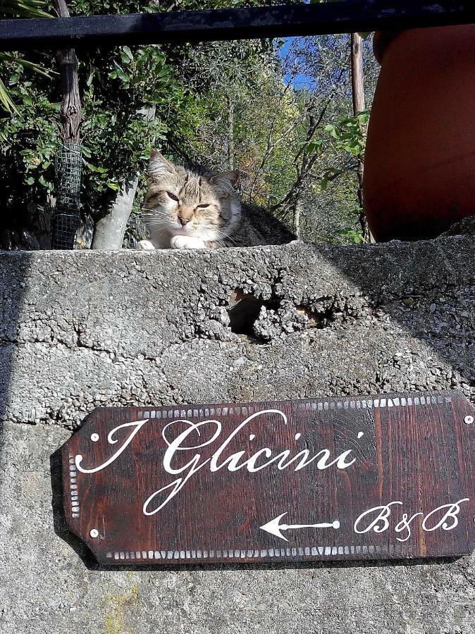 B&B I Glicini Vescina 외부 사진