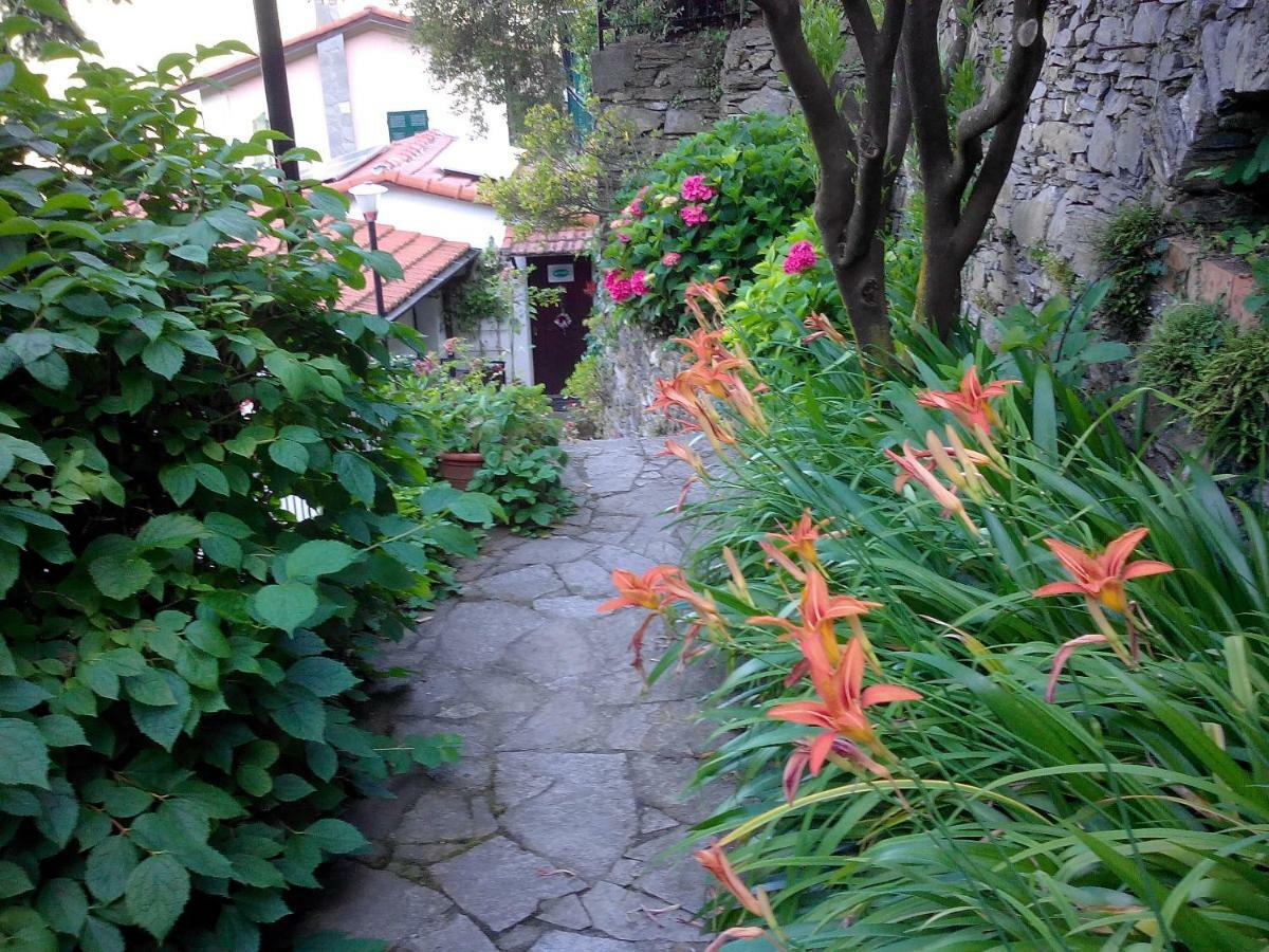 B&B I Glicini Vescina 외부 사진