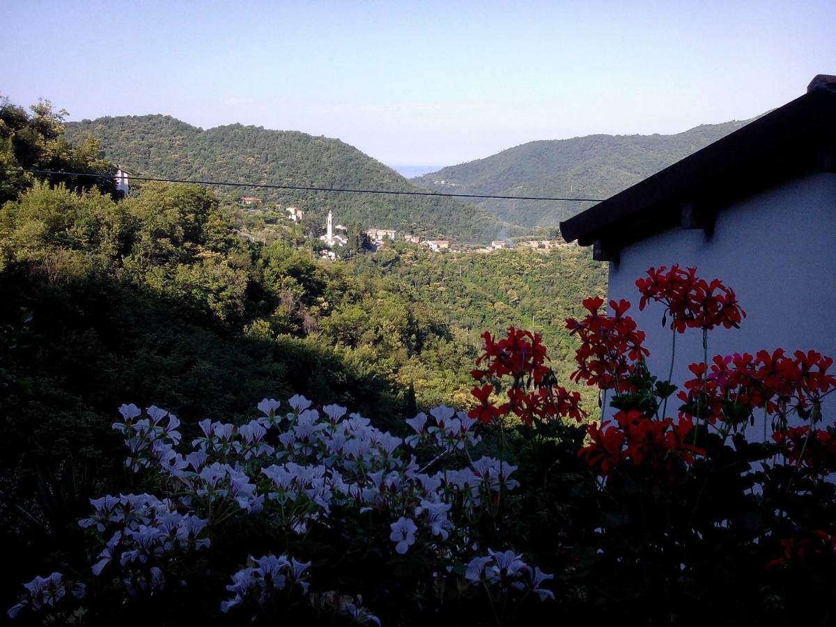 B&B I Glicini Vescina 외부 사진