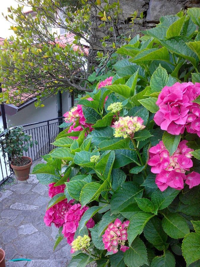 B&B I Glicini Vescina 외부 사진