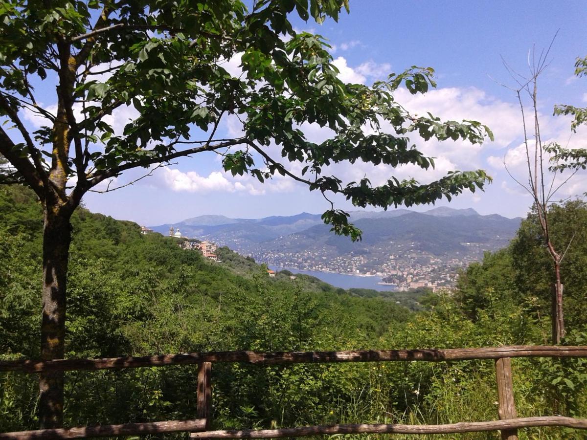 B&B I Glicini Vescina 외부 사진